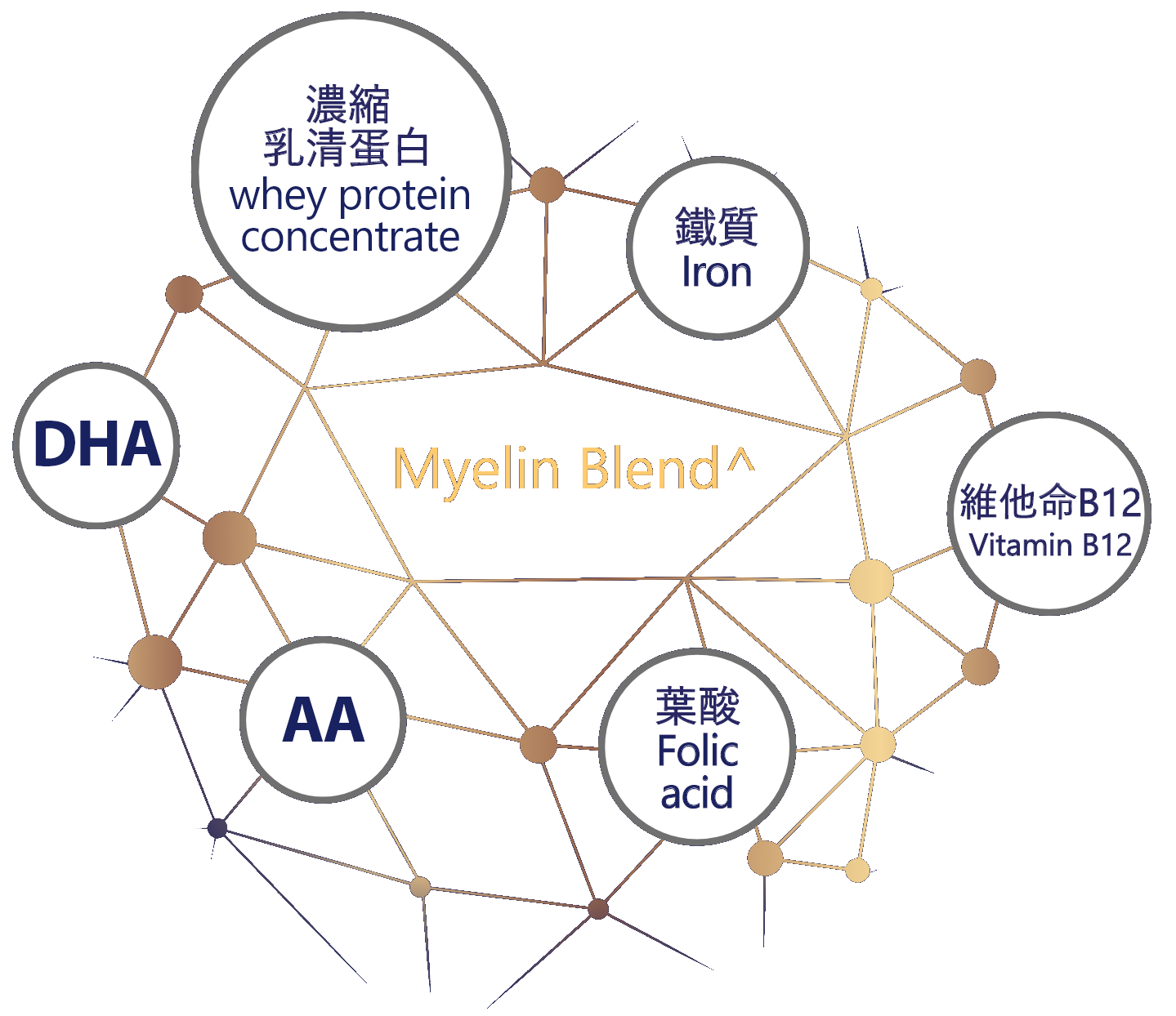 myelin-blend